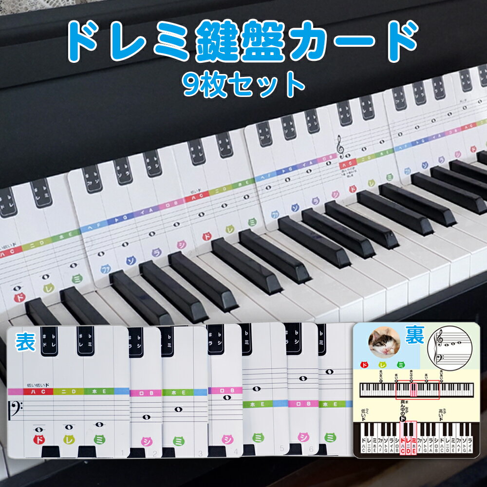 【楽天スーパーSALE 20%OFF】 ドレミ鍵盤カード ｜鍵盤と音符をリンクできる鍵盤カード 音符カード 31鍵盤 ピアノ 音楽 初心者 独学 レッスン 教材