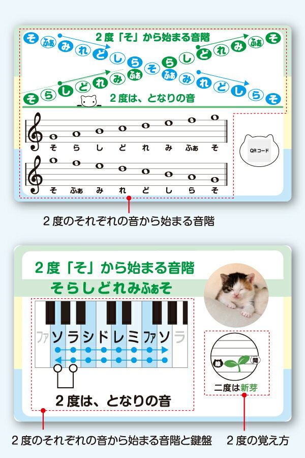 譜読みが早くなる！2度・3度音階トレーニングカード お手本動画付き 音程度数カード 音符カード 初心者 独学 音楽教材 3