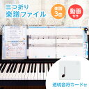 透明音符磁石 + お手本演奏動画 & 楽譜付き / 三つ折り 楽譜ファイル | 3面 見開き A4 楽譜 台紙 ファイル 書き込み 音符 磁石 マグネット 動画...