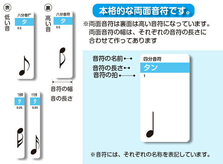 小さなお子様でも簡単に音階が作れます！音符カードを並べるだけで音階が作れる！両面音符ブルー 五線譜 大 五線譜 ホワイトボード 音符 カード ドレミ 鍵盤 初心者 独学 入門 レッスン ピアノ 音楽教材 動画 子供 3