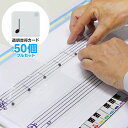 五線譜 ホワイトボード 大/ 透明音符 フルセット 50点 【音程動画付き】 | ブルー・ピンク ドレミ 音階 鍵盤 音符 カード マグネット 鍵盤 初心者 独学 レッスン用品 ピアノ 教室 音楽 教材 動画 子供 大人