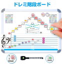ドレミ階段ボード ドレミの階段音の階段 五線ボード 五線譜ホワイトボード 鍵盤カード音符カード 音符マグネット 音符カード ピアノ教材 3歳〜 知育玩具 音階 ...