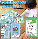 47都道府県ラミネートかるたかるた 都道府県かるた 地図 日本地図 産地 観光地 河川 カード かるた かるたゲームゲーム知育 書き順 おえかきボード 3歳~ 知育玩具 知育教材
