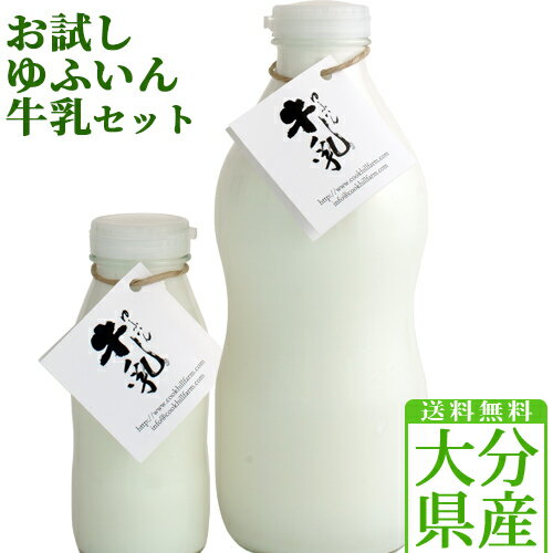 クックヒルファーム ゆふいん牛乳 お試しセット(200cc × 2本+900cc × 2本)【送料込】 SAYU