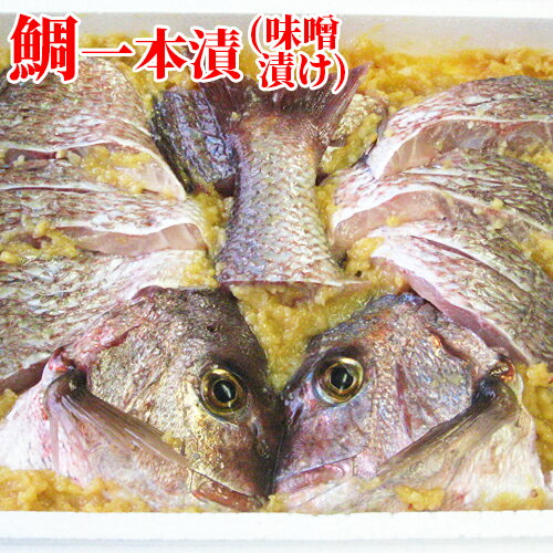 鯛一本漬 1.8kg (真鯛の味噌漬け) 割烹平家【送料込】