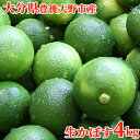 【予約販売】大分県豊後大野市緒方町産 かぼす青果 果実 4kg あねさん工房 自社農園含む指定契約農場産を厳選 【送料込】