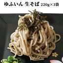 ゆふいん 生そば 2人前×3袋セット (1袋あたり 麺110g×2/そばつゆ50g×2) 由布製麺【送料込】 SAYU