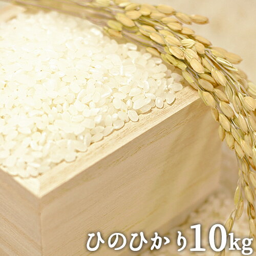 令和2年度産 山香米 ひのひかり(精米)10kg(5kg×2) 有機質肥料使用 杵築市山香町 ベストファーマー認定 色彩選別機導入 山香ゆうきの会【送料無料】