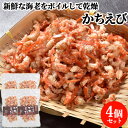 無添加 無着色 別府湾かちえび 45g×4 朝採れの天然エビ 海老 高橋水産(杵築市)【送料込】 KTBU