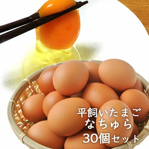 平飼い卵 なちゅら 10個入り×3パック【合計30個(25個＋保証分5個)】大分県産 カジワラファーム【送料無..