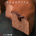 生ショコラバウム (バウムクーヘン) どんど焼本舗