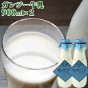 啪Y 100 󏭂ȃKW[ 900ml~2{Zbg b̃S[f~N(①) zQiCY vZ KW[qyz