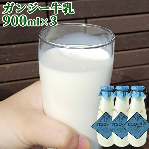 大分県産 生乳100％ 希少なガンジー牛乳 900ml×3本 高乳脂肪分のゴールデンミルク(冷蔵) ホモゲナイズ 久住高原 ガンジー牧場