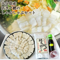 豊前海産の新鮮なハモ 活き〆鱧のしゃぶしゃぶセット 350g(2～3人前) 冷凍 骨切り処理済 かぼすポン酢付き 上野水産【送料込】