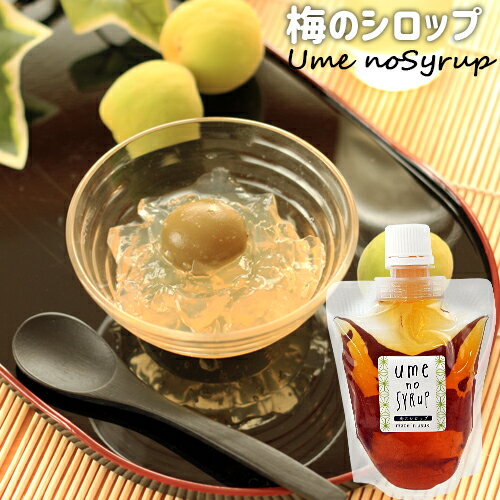 大分県臼杵市産梅使用 食品添加物不使用 梅のシロップ 200g お菓子作りやお酒などに めぐみ工房 大分県臼杵市産梅使用 食品添加物不使用 梅のシロップ 200g お菓子作りやお酒などに めぐみ工房
