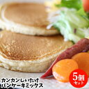 大分県産杵築市産小麦 カンカンしいたけパンケーキミックス 139g 5袋セット 活用レシピ付き ホットケーキ 天日干し原木椎茸 東京農業大学協働開発 新庄農地利用組合【送料込】 KTBU