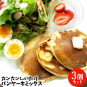 大分県産杵築市産小麦 カンカン椎茸パンケーキミックス 139g×3袋セット 活用レシピ付き ホットケーキ 天日干し原木しいたけ 東京農業大学協働開発 新庄農地利...