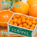真夏に食べる大分県産ミカン 贈答用 ハウスみかん 5kg 蜜柑 有機肥料 温室 今村農園【送料込】