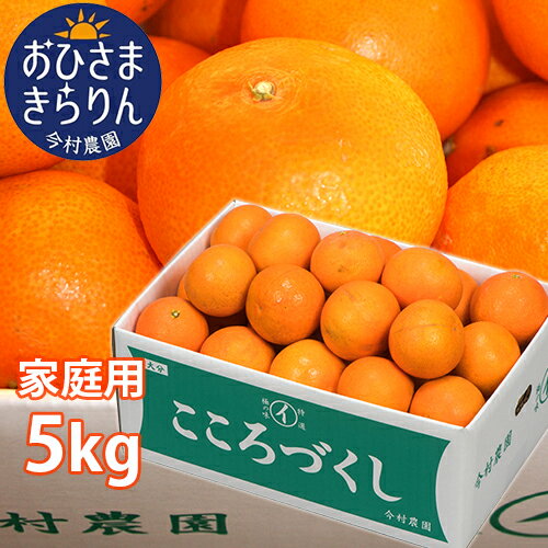 大分県産オレンジ 家庭用 おひさまきらりん 5kg (清見タンゴール/温州みかん/あまくさオレンジ) 有機肥料 温室 今村農園【送料無料】 KTBU