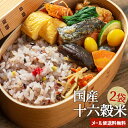 国産100% 十六穀米 180g×2袋セット (丸麦 もち玄米 黒米 もちきび 青大豆 小豆 黄大豆 押麦 赤米 玄米 とうもろこし 緑米 もち麦 ハト麦 アマ...