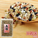 九州産100% 五穀米 260g (玄米 黒米 赤米 緑米 もち米) 白米と炊くだけ 雑穀米 かけ干し米 古代米 水谷直海商店