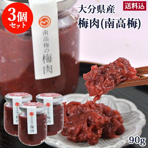 大分県産 南高梅の梅肉 95g×3個セット 無添加 梅干し うめペースト 塩分17% 調味料 森梅園 大山町の梅【送料込】