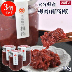 大分県産 南高梅の梅肉 95g×3個セット 無添加 梅干し うめペースト 塩分17% 調味料 森梅園 大山町の梅【送料込】