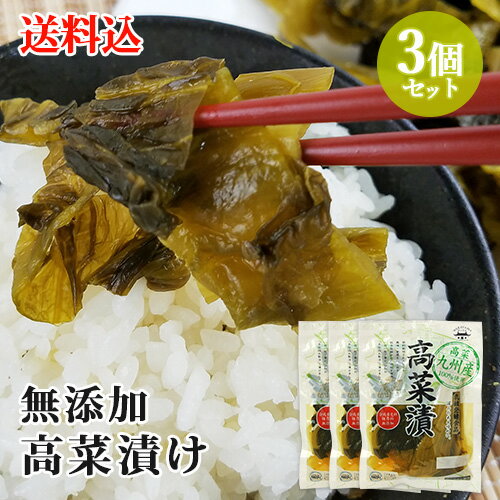 九州産高菜使用 無添加高菜漬 160g×3個セット HACCP認定 若山食品【送料込】