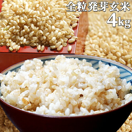大分県産無洗米手作り発芽玄米4kg(1kg真空パックtimes;4袋)準無農薬(減農薬)スタリオン日田【送料無料】