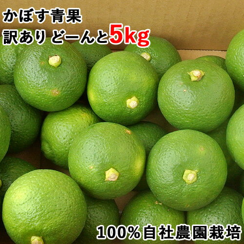 訳アリ 大分県別府市産 かぼす 青果 徳用 5kg かぼす本家 自社農園の露地栽培カボス 傷あり商品 ご自宅用に【送料込】