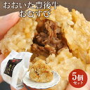 大分県産和牛＆ごぼう使用 無添加 おおいた豊後牛おむすび 5個セット 1個80g 混ぜご飯おにぎり 冷凍 クールフーズHANA【送料込】 OIKI