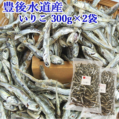 豊後水道産 いりこ 300g×2袋 大分県 さいき本舗城下堂 【送料込】のサムネイル