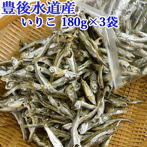 豊後水道産 いりこ 180g×3袋 大分県 さいき本舗城下堂 【送料込】のサムネイル