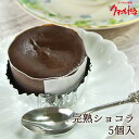 しっとり濃厚チョコ 完熟ショコラ 5個入り 蒸し焼きショコラ 冷凍スイーツ バレンタイン ホワイトデー ケーキ大使館クアンカ・ドーネ