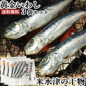 米水津 黄金いわし 丸干し 1串×3袋セット 干物屋 マルサン商店 【送料込】 Sクーポン