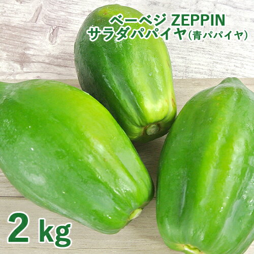 シャキシャキ食感 ZEPPINサラダパパイヤ 2kg(3～4個) 青パパイヤ パパイン酵素 無農薬  ...