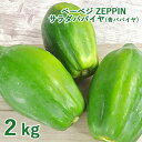 シャキシャキ食感 ZEPPINサラダパパイヤ 2kg(3〜4個) 青パパイヤ パパイン酵素 無農薬 ベーベジ【送料無料】 その1