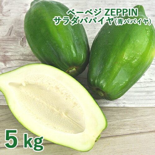 シャキシャキ食感 ZEPPINサラダパパイヤ 5kg(5～12個) 青パパイヤ パパイン酵素 無農薬 ベーベジ【送料込】