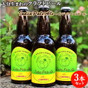 大分生まれのクラフトビール India Pale Ale インディアペールエール 330ml×3 麦酒 ビール ご当地ビール 地ビール 宅飲み 晩酌 Monkey Mountain モンキーマウンテン【送料込】 OIKI