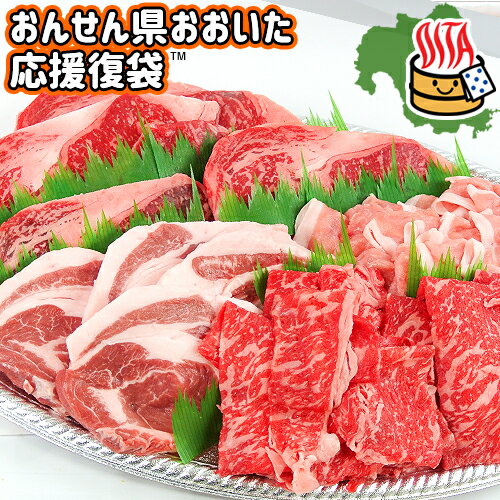 【応援企画】おんせん県おおいた ふっこう復袋(福袋) 精肉詰め合わせセットB 20,000円 送料込み 冷凍 ..