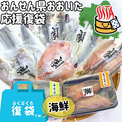 【応援企画】おんせん県おおいた ふっこう復袋(ふくぶくろ) ひもの丸丁こだわりの海鮮 詰め合わせ＜他商品同梱不可＞プロトン凍結 産地直送 干物 刺身用フィレ 味醂干し 復興福袋 大分県支援 高橋水産のサムネイル