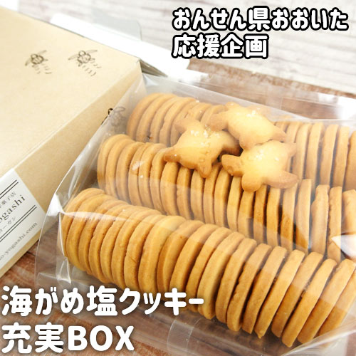 お中元 【応援企画】全て国産素材の無添加クッキー 海がめ塩クッキー充実BOX（57枚+子がめクッキー3枚）箱入り ギフトにも 送料込み 常温 大分県支援 復興 大分県産なずなの塩 オノヨーガシ