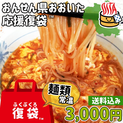 【応援企画】おんせん県おおいた ふっこう復袋(ふくぶくろ)Dセット 辛麺 簡易パッケージ 3,000円 常温 送料込み 大分県支援 ゆふいん麺工房 由布製麺 復興 SAYU