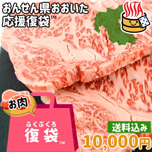 おんせん県おおいた ふっこう復袋(福袋) 精肉詰め合わせセットA 3種入り 10,000円 送料込み 冷凍 おおいた和牛 サーロイン 豚肉 鶏もも肉 大分県支援 復興福袋 デリカ・ミート吉野