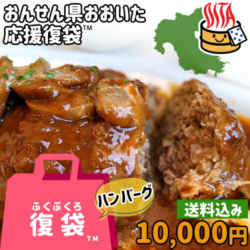 【応援企画】おんせん県おおいた ふっこう復袋 福袋 ハンバーグ4種計16個詰め合わせセット 10 000円 送料込み 冷凍 国産牛・国産豚バーグ 合挽 大分県支援 復興福袋 デリカ・ミート吉野