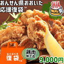 【応援企画】おんせん県おおいた ふっこう復袋(福袋) 鶏肉お惣菜詰め合わせセットA 9,000円 送料込み 冷凍便 からあげ 唐揚げ とり天 ..