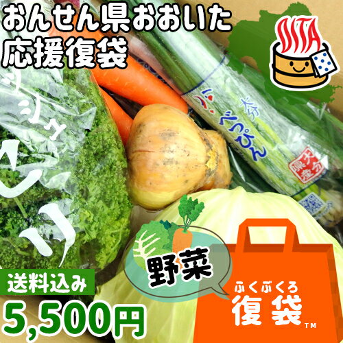 【応援企画】おんせん県おおいた ふっこう復袋(福袋) 新鮮な野菜詰め合わせを産地直送でお届け！ 野菜..