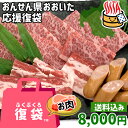 【応援企画】おんせん県おおいた ふっこう復袋(福袋) 豊後牛焼肉セット 2〜3人前 8,000円 送料込み 冷蔵 和牛バラ肉 豚バラ肉 ウインナー 大分県支援 復興 ミカド肉店