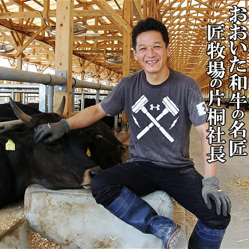 ヤマト運輸または佐川急便での発送(お選びいただけません)　和牛日本一の大分県産 おおいた和牛ステーキ肉 500g(250g×2) 国産黒毛和牛 おおいた豊後牛 九州 国産 牛肉 匠牧場 【送料込】