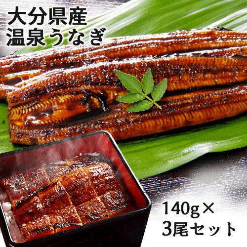 天然温泉で育った鰻 温泉うなぎ蒲焼 140g×3尾セット (特製タレ30ml2本・山椒6袋) 無投薬 温泉かけ流し 大分県産 電子レンジ加熱 日本ギフト大賞受賞 大分水産【送料込】 KTK